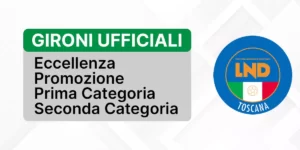 Scopri di più sull'articolo Gironi ufficiali di Eccellenza, Promozione, Prima e Seconda Categoria 2022/2023